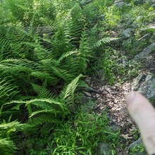 Bob Stewart - PA Appalachian Trail (PA)