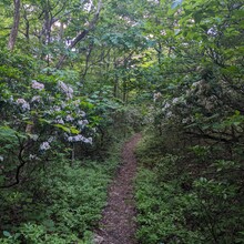 Bob Stewart - PA Appalachian Trail (PA)