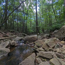 Bob Stewart - PA Appalachian Trail (PA)