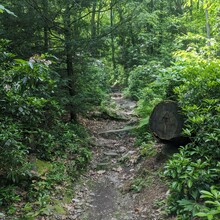 Bob Stewart - PA Appalachian Trail (PA)