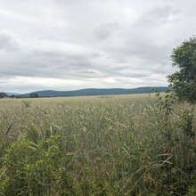 Bob Stewart - PA Appalachian Trail (PA)