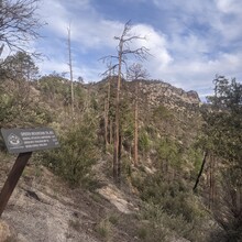 Matt Gabrenya - Arizona Trail Santa Catalina Loop