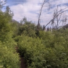 Matt Gabrenya - Arizona Trail Santa Catalina Loop