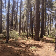 Matt Gabrenya - Arizona Trail Santa Catalina Loop