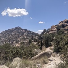 Matt Gabrenya - Arizona Trail Santa Catalina Loop