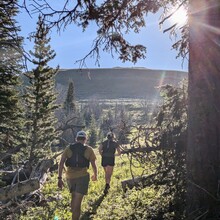 Tom Attard, Justin Grigg, Kristina Pattison - Snowcrest Trail