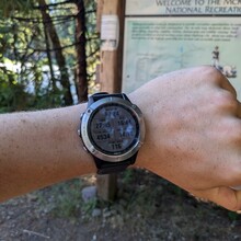 Jasper Pollock - McKenzie River Trail (OR)