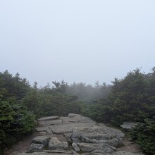 Kyle Andrews - Kinsman Ridge Trail (NH)