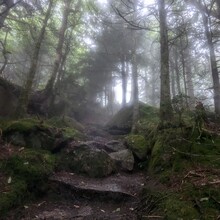 Kyle Andrews - Kinsman Ridge Trail (NH)