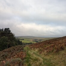 Sharon Spriggs - Romans and Reivers Route