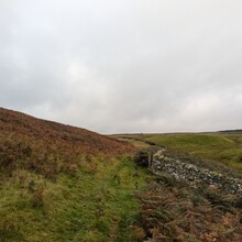 Sharon Spriggs - Romans and Reivers Route