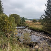 Sharon Spriggs - Romans and Reivers Route