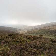 Sharon Spriggs - Romans and Reivers Route