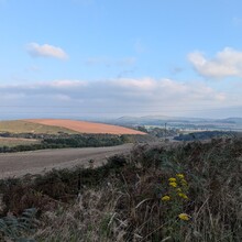 Sharon Spriggs - Romans and Reivers Route