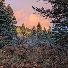 Anj Ferrara - Crest Trail #130 (Sandia Mtns, NM)