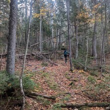 Robyn Wright, Emily Davenport - Nepisiguit Mi'gmaq Trail (NB, Canada)