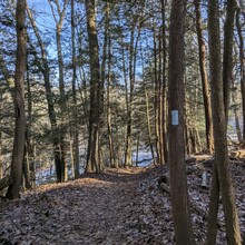 Melissa Safran - Cuyahoga Valley National Park (CVNP): Brandywine, Boston, Jaite, Red Lock, Valley Bridal Loop (OH)