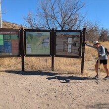 Marcy Beard - Tucson [?]