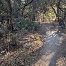 Steven Terry - Arizona Trail Santa Catalina Loop