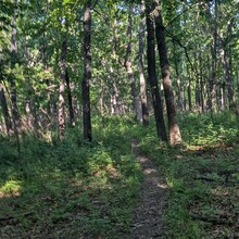 Walker Yane - Pike Run Trail (MO)