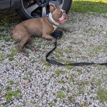 Walker Yane - Pike Run Trail (MO)