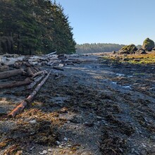 Matthew Tong - Ozette Triangle Trail