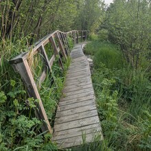 Bob Stewart - Superior Hiking Trail (MN)