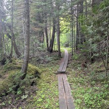 Bob Stewart - Superior Hiking Trail (MN)