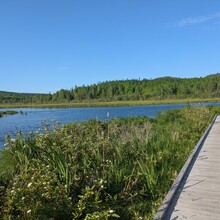 Bob Stewart - Superior Hiking Trail (MN)