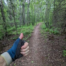 Bob Stewart - Superior Hiking Trail (MN)