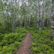 Bob Stewart - Superior Hiking Trail (MN)