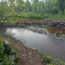 Bob Stewart - Superior Hiking Trail (MN)
