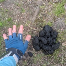 Bob Stewart - Superior Hiking Trail (MN)
