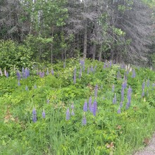 Bob Stewart - Superior Hiking Trail (MN)
