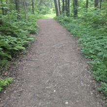 Bob Stewart - Superior Hiking Trail (MN)