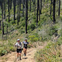 Marion Ollier, Elizabeth Prosser, Cristiana Chen - Bolinas or Bust (CA)