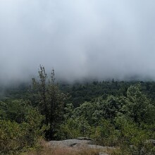 Chase Gregory - Cat Thomas Loop (NY)