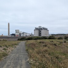 Sharon Spriggs - The Way of the Sea