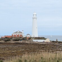 Sharon Spriggs - The Way of the Sea