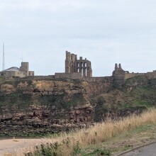 Sharon Spriggs - The Way of the Sea