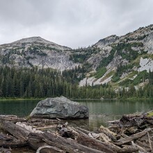 Justin Huff - Purple Rainbow (WA)