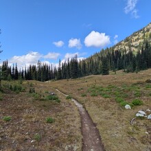 Justin Huff - Purple Rainbow (WA)