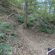 Wayne Ball, Kristin Loiko - Robert Frost Trail (MA)