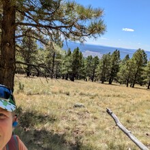 Marcy Beard - Round Hump (AZ)