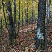 David Bowman, Jean-Charles Cotton - Gatineau Park Perimeter Loop (QC, Canada)
