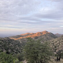 Matt Gabrenya - Arizona Trail Santa Catalina Loop