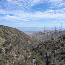 Matt Gabrenya - Arizona Trail Santa Catalina Loop