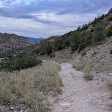 Matt Gabrenya - Arizona Trail Santa Catalina Loop