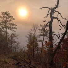 Bob Stewart - Pinhoti Trail (AL, GA)