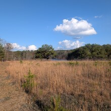 Bob Stewart - Pinhoti Trail (AL, GA)